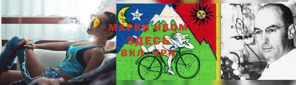 ешки Бронницы
