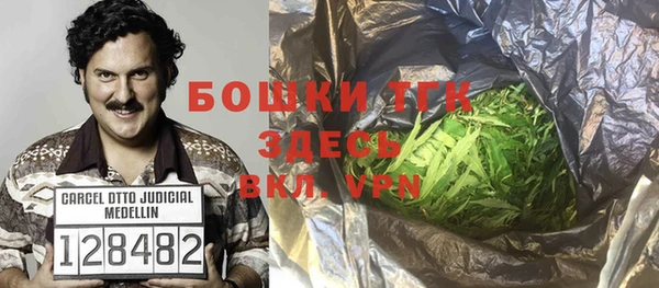 соль ск Тайга