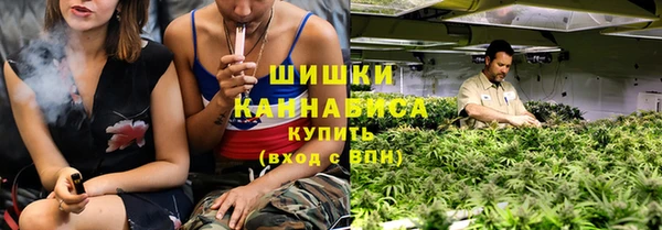 ешки Бронницы